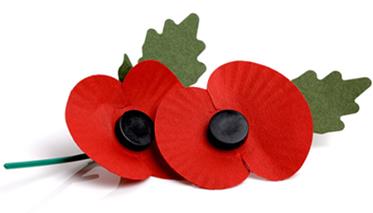 parts of the remembrance poppy